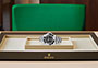 Presentación watchdesk reloj Rolex Sea-Dweller de acero Oystersteel, y esfera negra en Joyería Grau